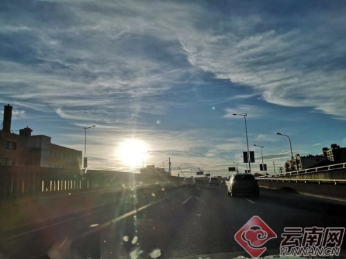 00300110993_6c31b1a8