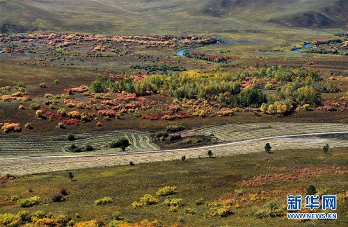 129954112_15370115019851n