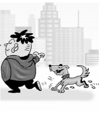 2bt1_view_b 2bt1_view_b