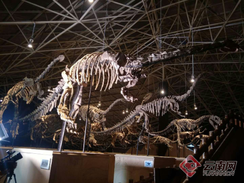 00300113076_fb9ff931 00300113076_fb9ff931