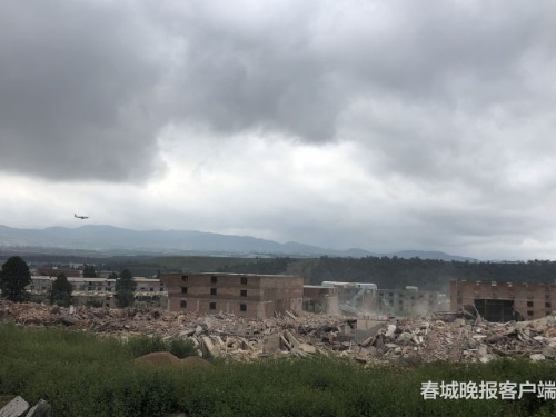 184908_500x500 184908_500x500