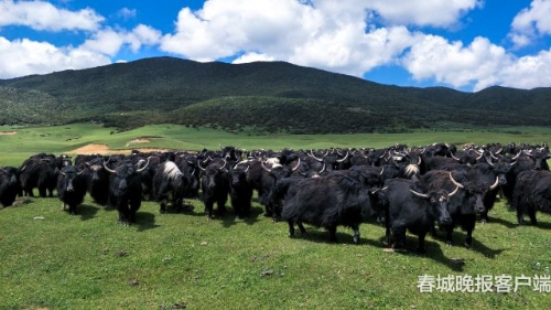 微信图片_20180920093531 微信图片_20180920093531