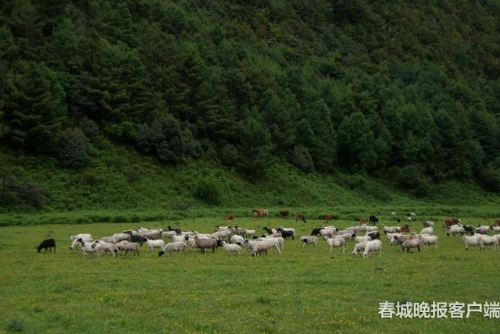 微信图片_20180920093533 微信图片_20180920093533