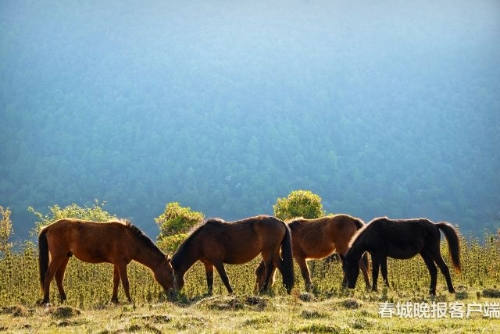 微信图片_20180920093536 微信图片_20180920093536