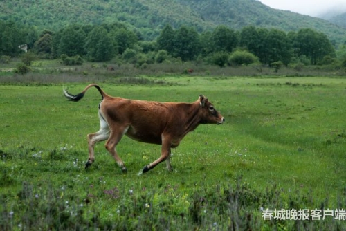 微信图片_20180920093539 微信图片_20180920093539