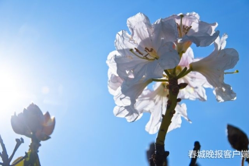 微信图片_20180920093542 微信图片_20180920093542