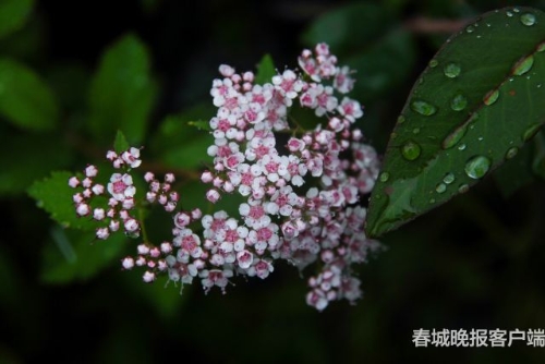 微信图片_20180920093545 微信图片_20180920093545