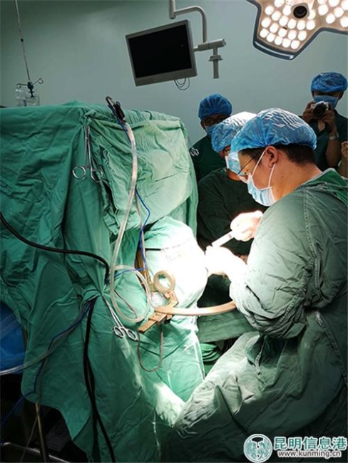 手术进行中。供图