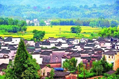 f44d305ea08b1d0e5e6507