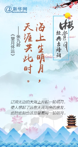 1123469745_15375841939131n (1)