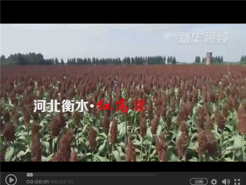 QQ图片20180924102524 QQ图片20180924102524