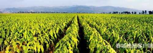 20180925073153DHGPCK