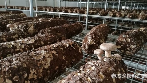 20180925073206VJ8KOC