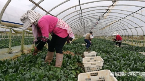 20180925073153SFG2VM