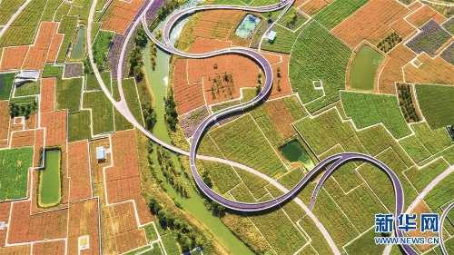 1123481641_15378853479691n