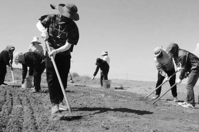 16742465956507598889 16742465956507598889