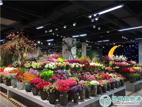 26013899861908841 26013899861908841