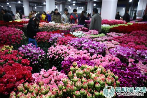 645657127326002812 645657127326002812