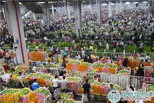 35312732456601330 35312732456601330