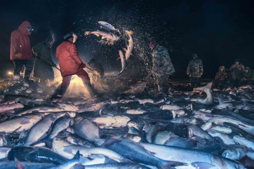 1537984401833_952_3000x2000