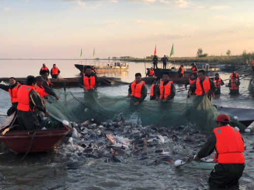 1537984587677_612_1024x768