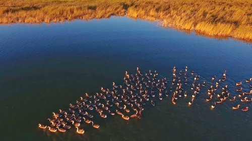 1537984761382_155_1920x1080