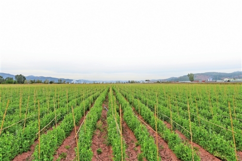 2018100803_res07_attpic_brief 2018100803_res07_attpic_brief