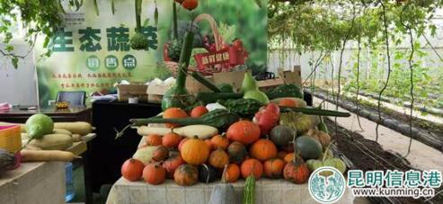 QQ截图20181008215545