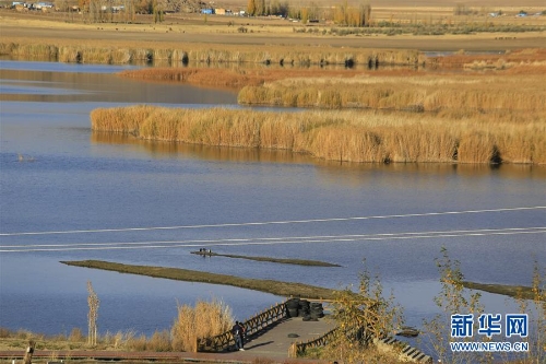 f44d30758a2f1d2640901a