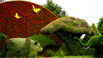 2018101111311155654 2018101111311155654