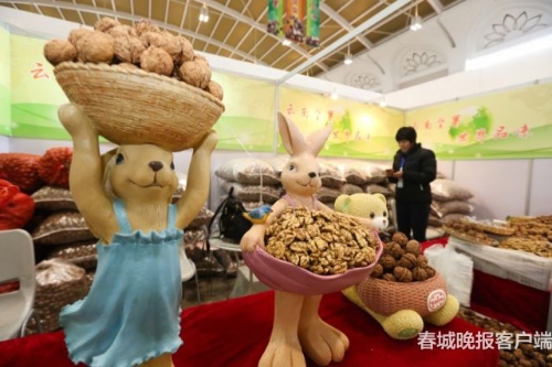 2018101120202924SA3R