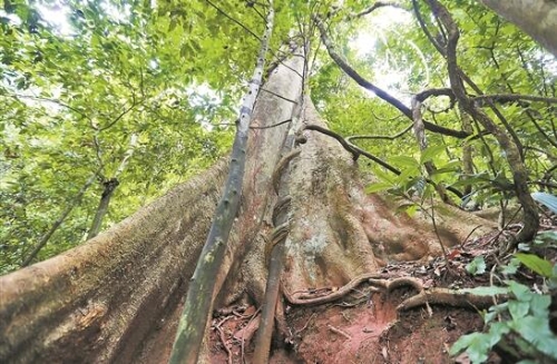 QQ截图20181018083250