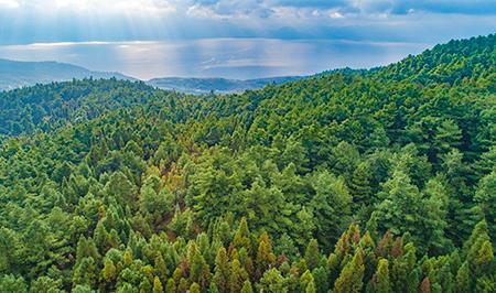 1_20181017233659949 1_20181017233659949