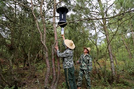 1_20181017233935453 1_20181017233935453