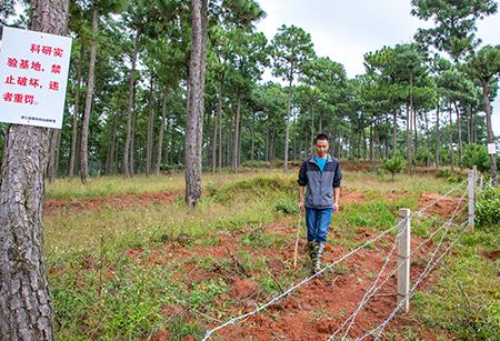 1_20181017233815689 1_20181017233815689