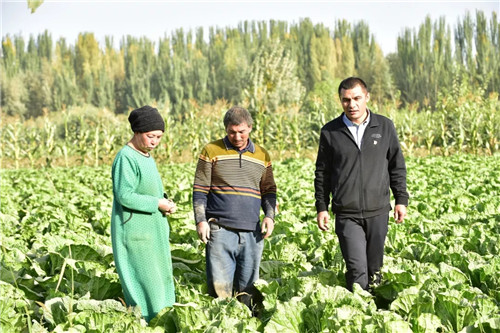 6402015年以来.webp 6402015年以来.webp