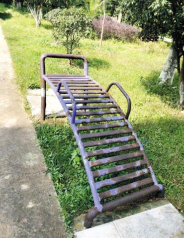 00300158235_8f5ed602