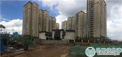 绿地·香树花城小区正门口道路被挖开 部分土地裸露 绿地·香树花城小区正门口道路被挖开 部分土地裸露