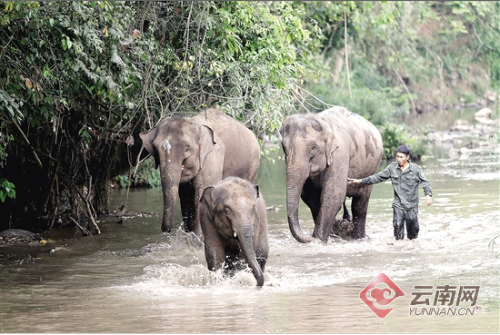 00300162439_8f38bc07 00300162439_8f38bc07