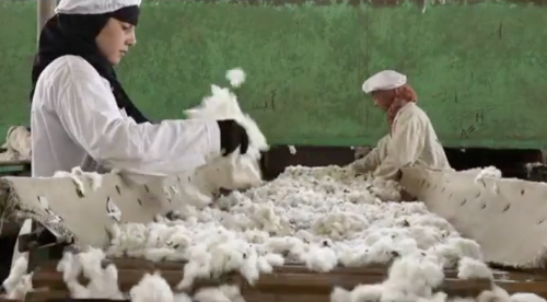 67621df774b1fcb0ef2182923cd25855 67621df774b1fcb0ef2182923cd25855