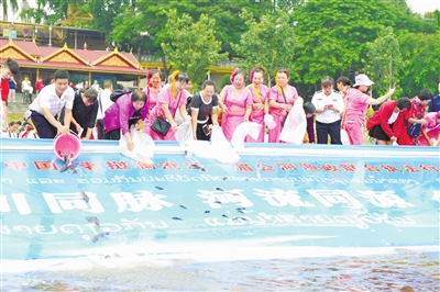 西双版纳 西双版纳