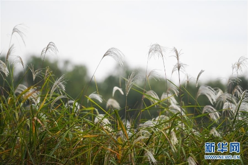 f44d30758a2f1d49d7ff17