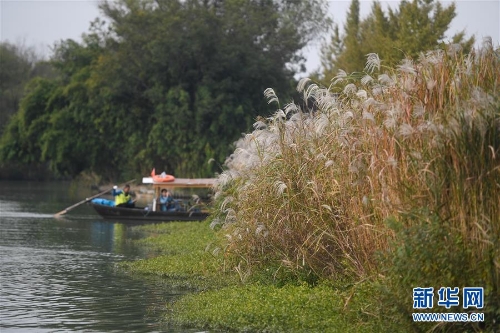 f44d30758a2f1d49d7ff19