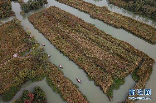 f44d30758a2f1d49d7ff1c