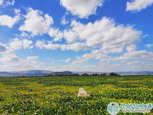 东大河湿地--记者薛江涛摄