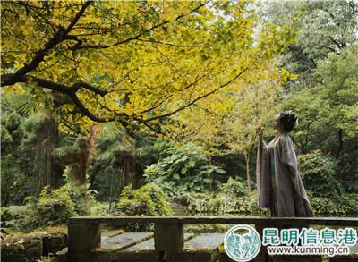 5be4374cccfe7 5be4374cccfe7