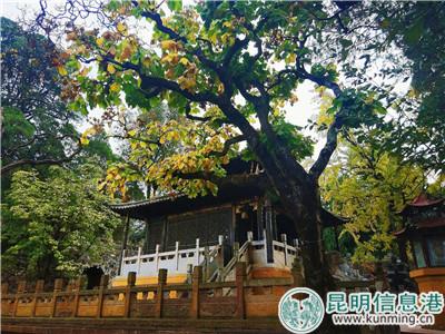 5be43752735e1 5be43752735e1