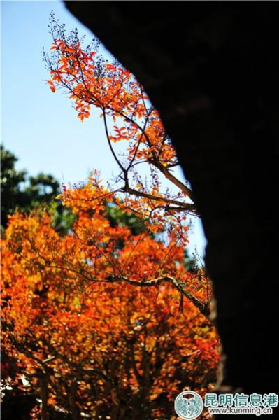 5be4374d062ad 5be4374d062ad