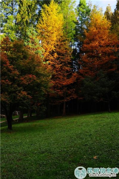 5be43750589a1 5be43750589a1