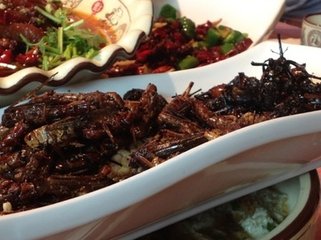 t01c4608a2a928cddc7 t01c4608a2a928cddc7